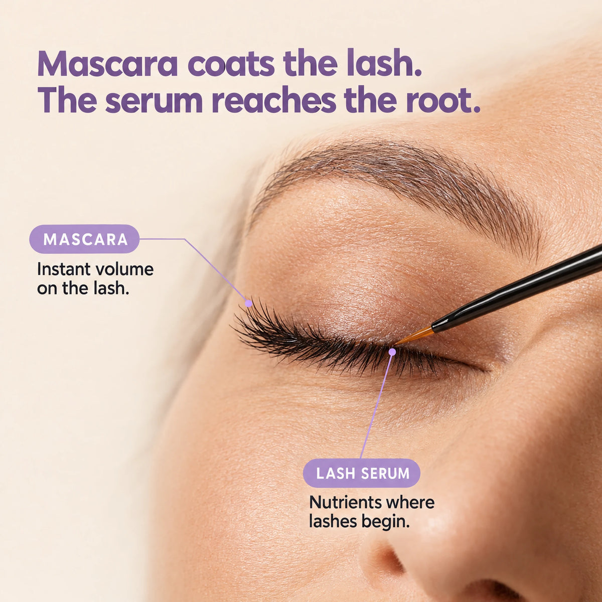 Mascara coats the lash, the serum reaches the root: fine serum tip applied along the lash line